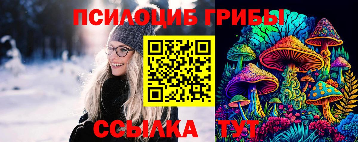 Псилоцибиновые грибы Cubensis  Псилоцибиновые грибы мицелий  Вход с VPN  Каменка 