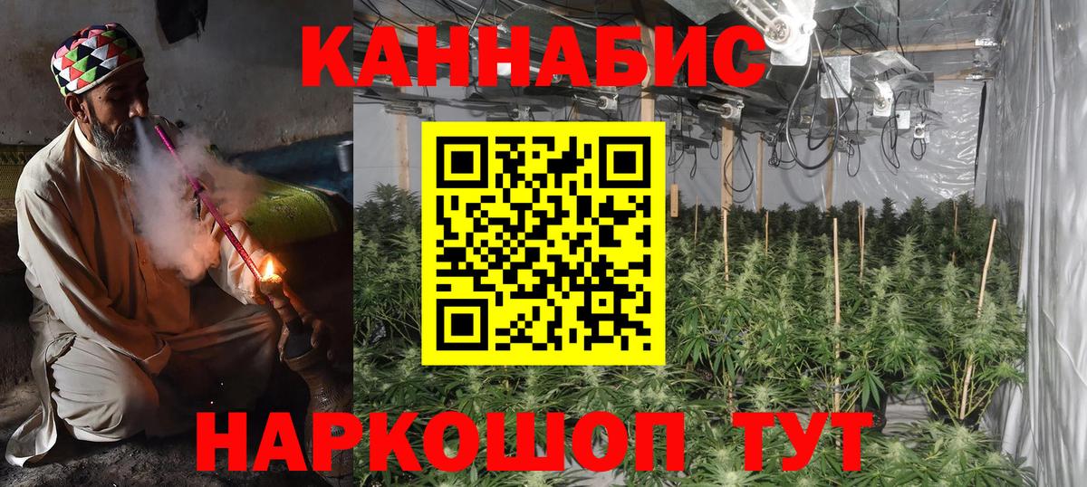 Каннабис MAZAR Каменка